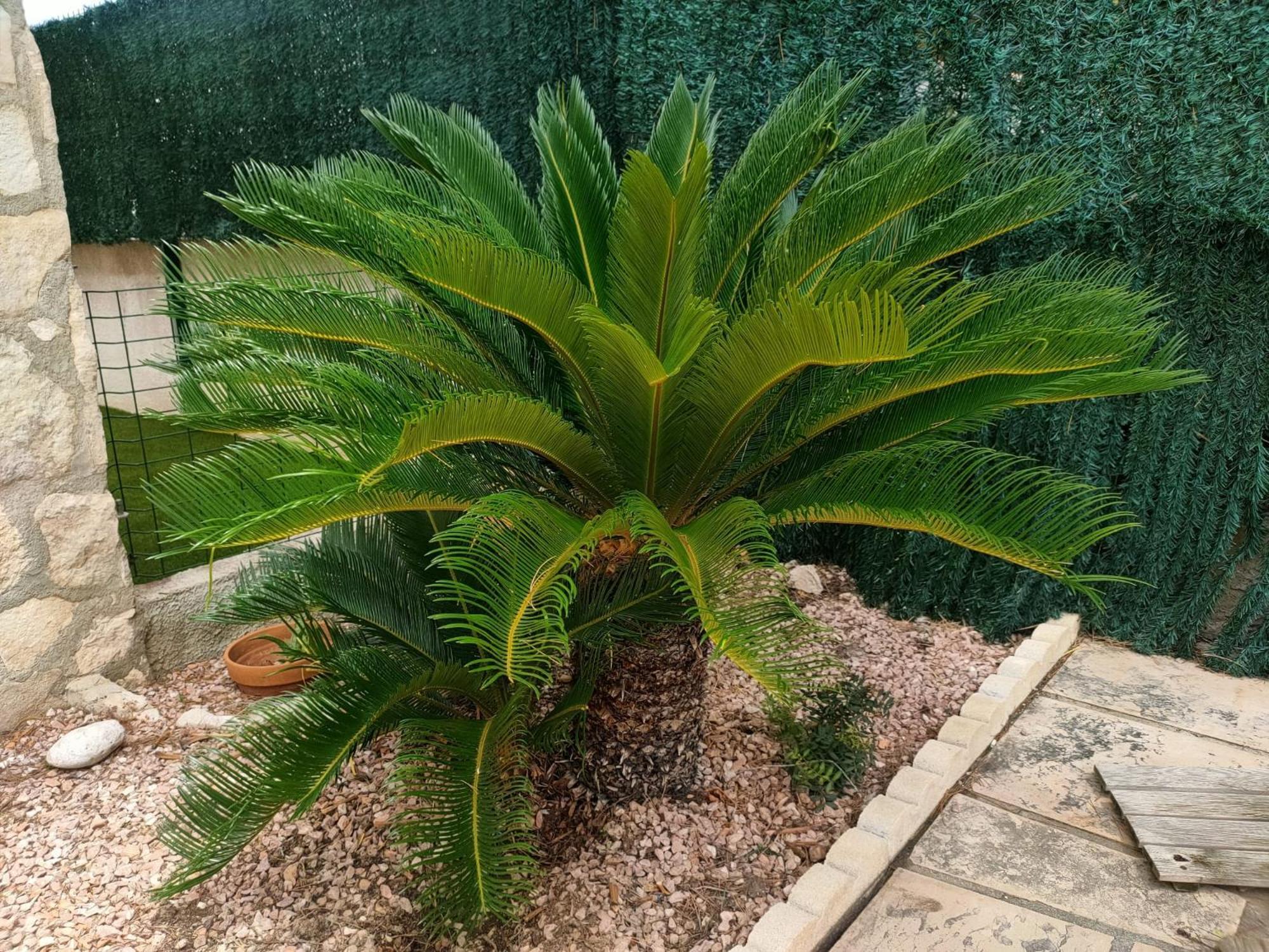 فيلا Casa Coco Les Tres Cales المظهر الخارجي الصورة